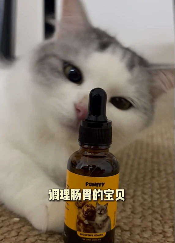 A cat with FUNFFY GutCare+
