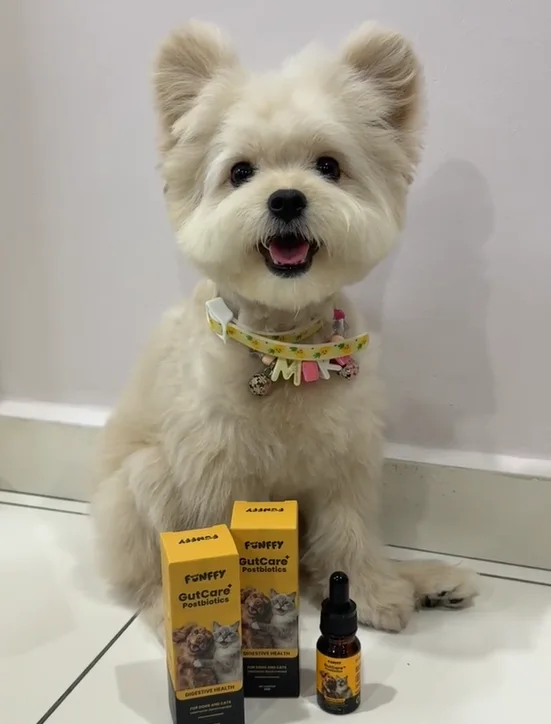 A happy white dog with FUNFFY GutCare+