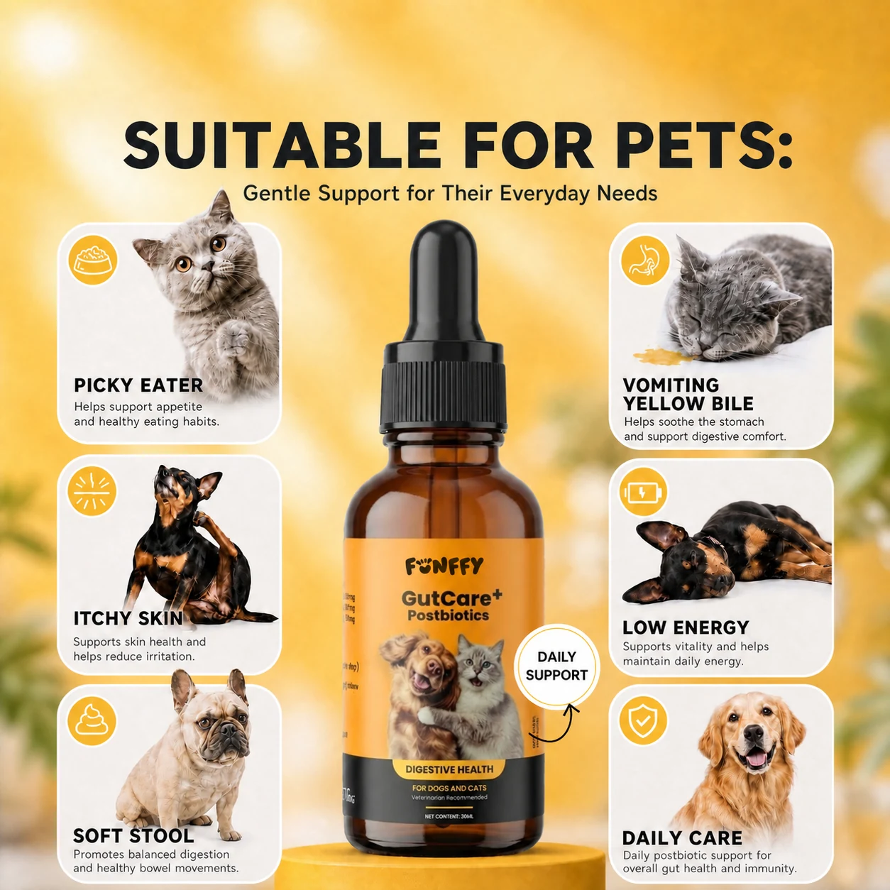 Everyday pet wellness support scenarios