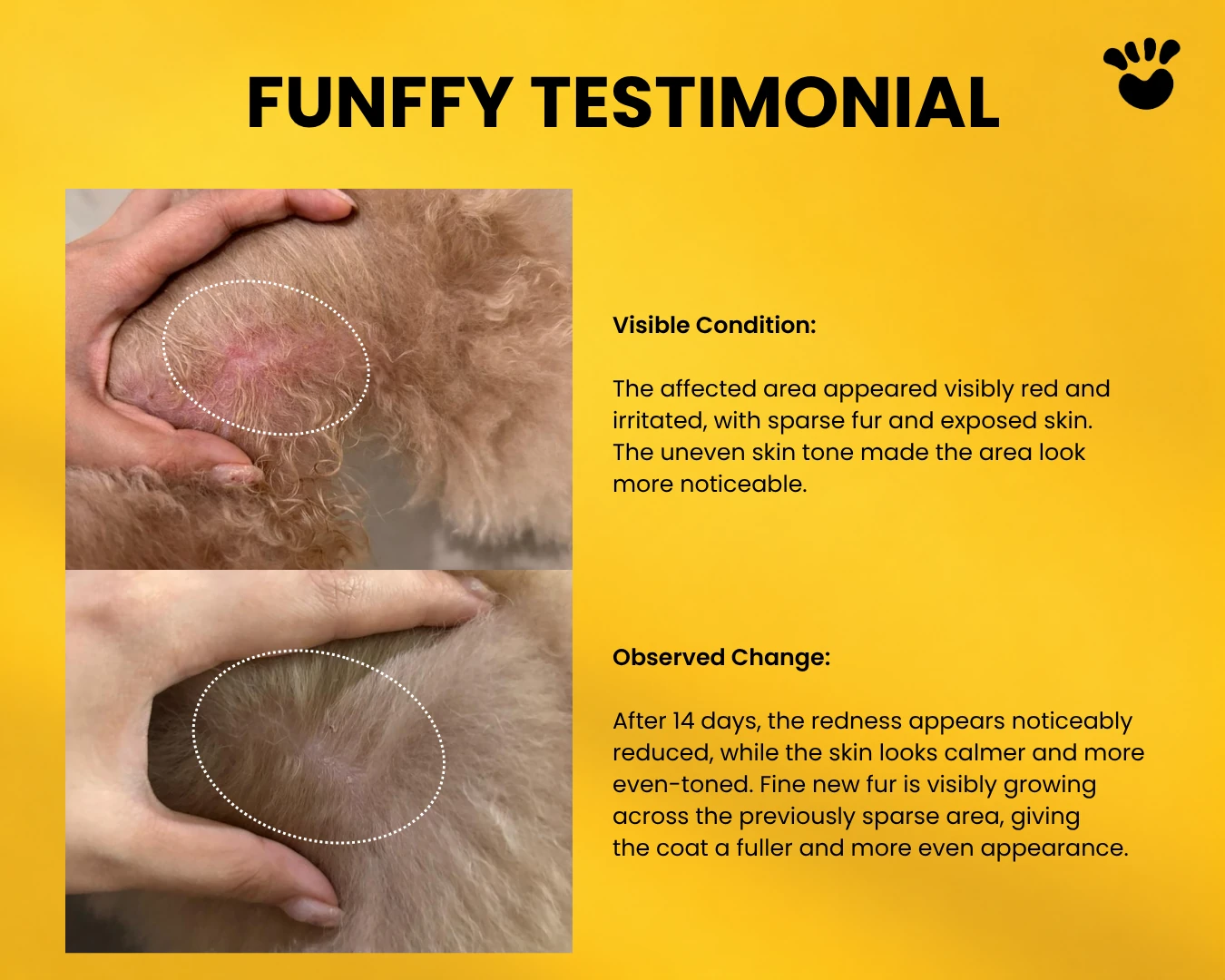 FUNFFY testimonial showing visible skin and coat changes after 14 days