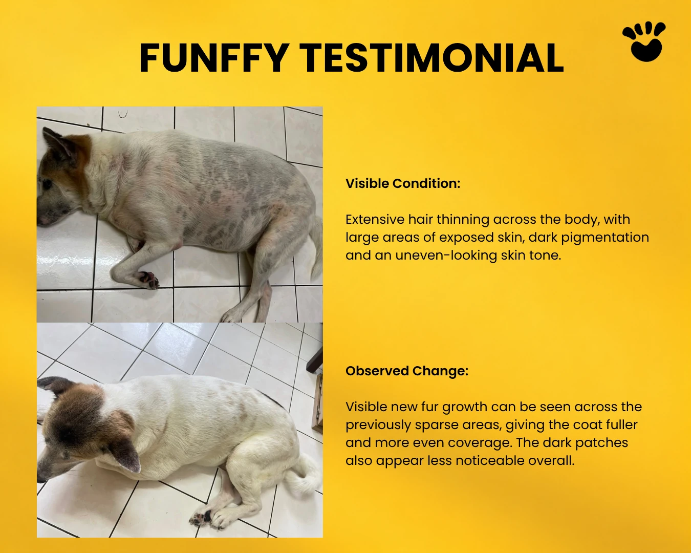 FUNFFY testimonial showing visible body coat changes