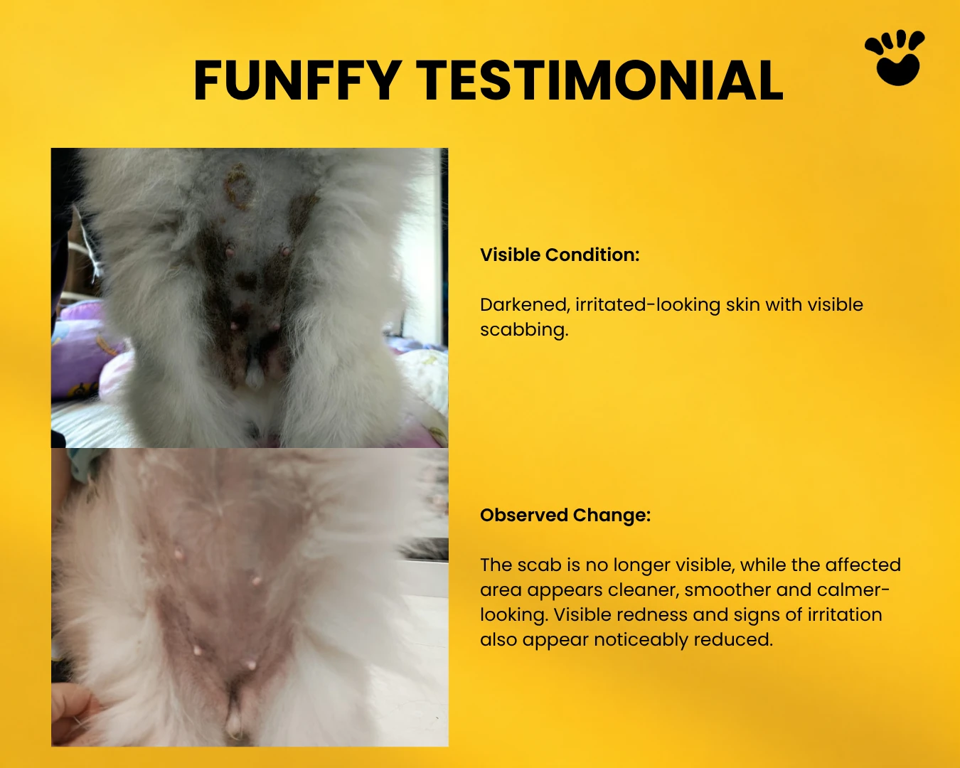 FUNFFY testimonial showing visible skin changes